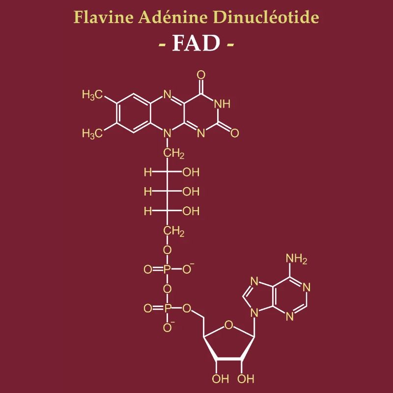 ADF Flavin Adenine Cofactor