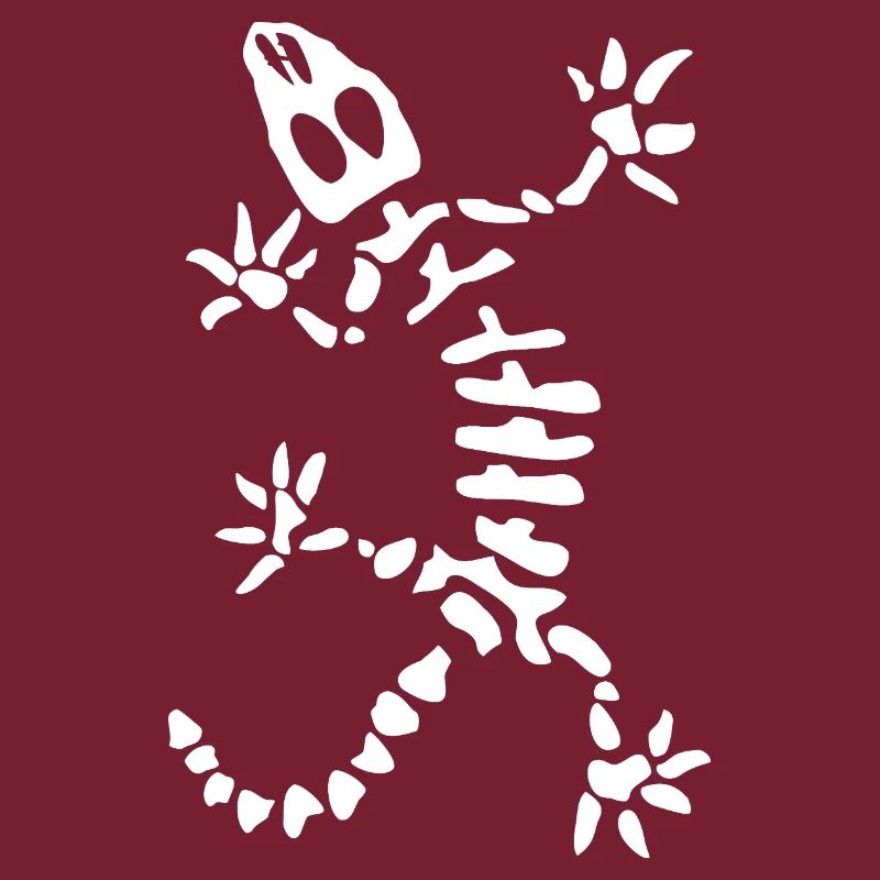Gecko Skeleton: Lizard, Reptile & Bones