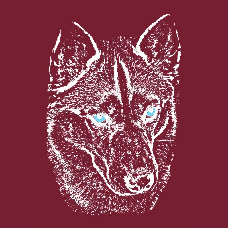 Wolf view in night light husky with blue eyes