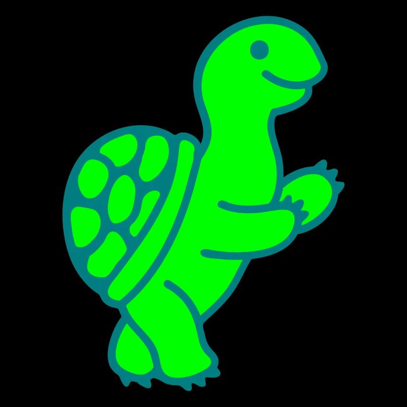 Turtle 2