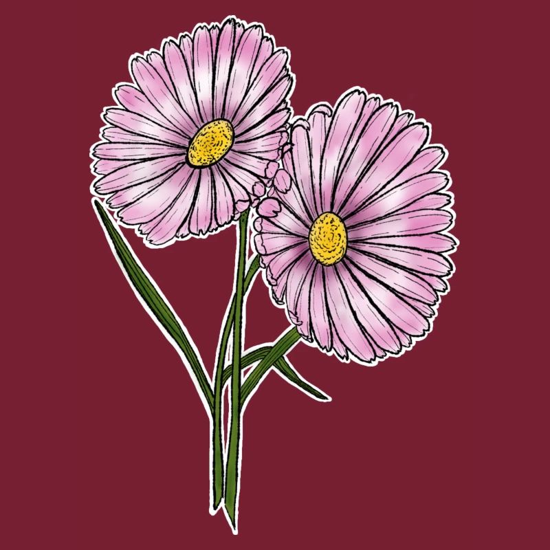 Gänseblümchen