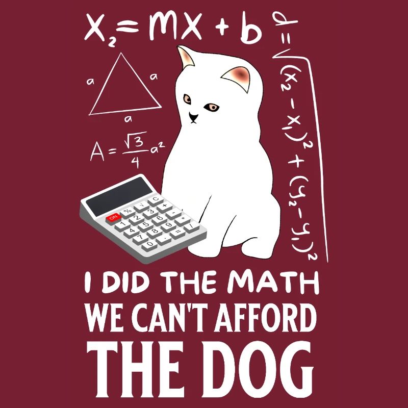 Humorous Cat Math Design
