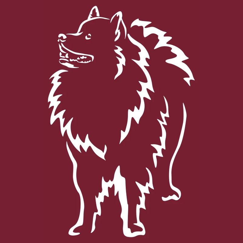 Wolfsspitz "Black Edition"