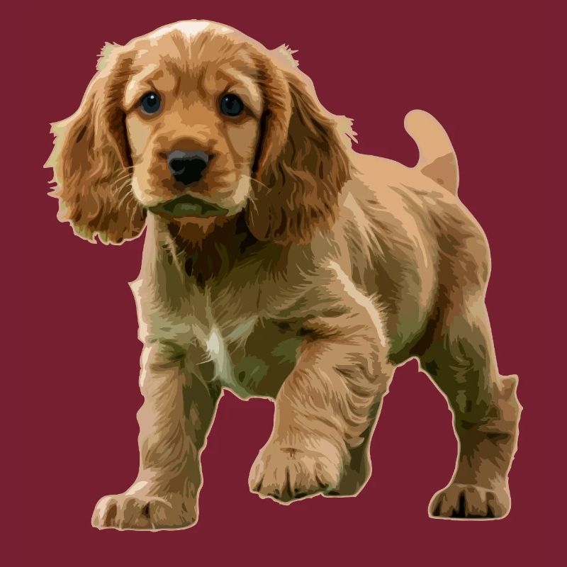 Cocker Spaniel Welpe