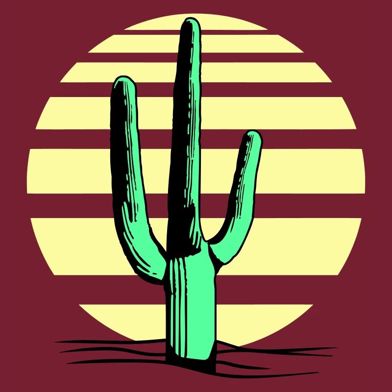 Cactus, désert, coucher de soleil, soir, nuit, cactus