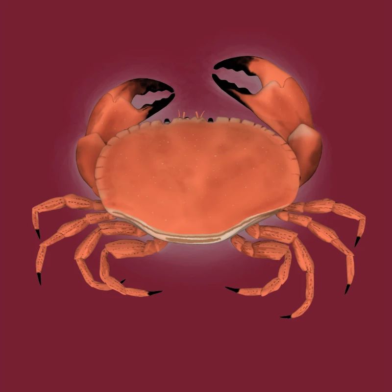 krabbe