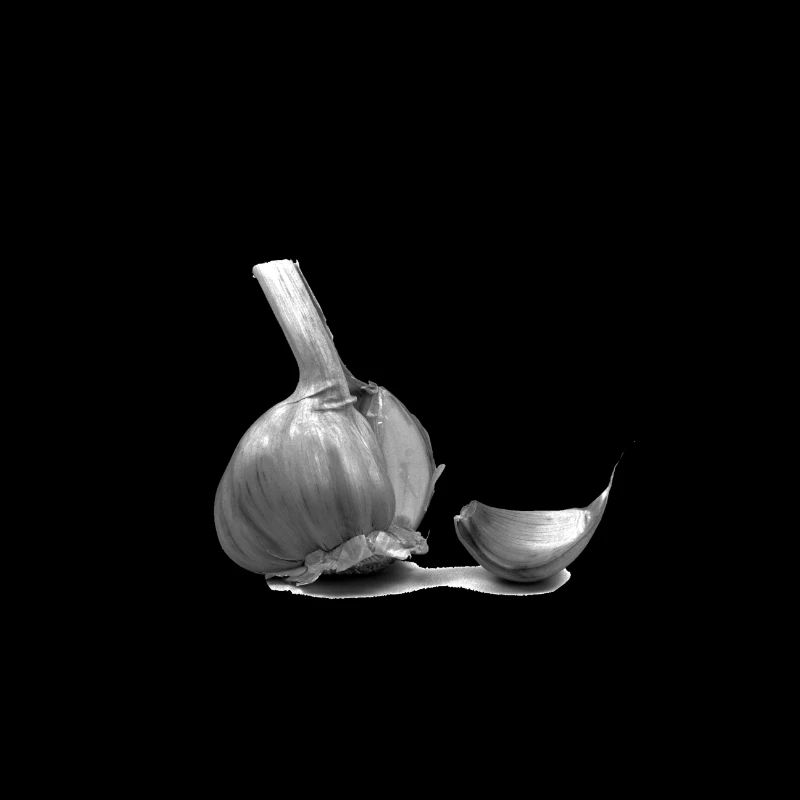 Knoblauch