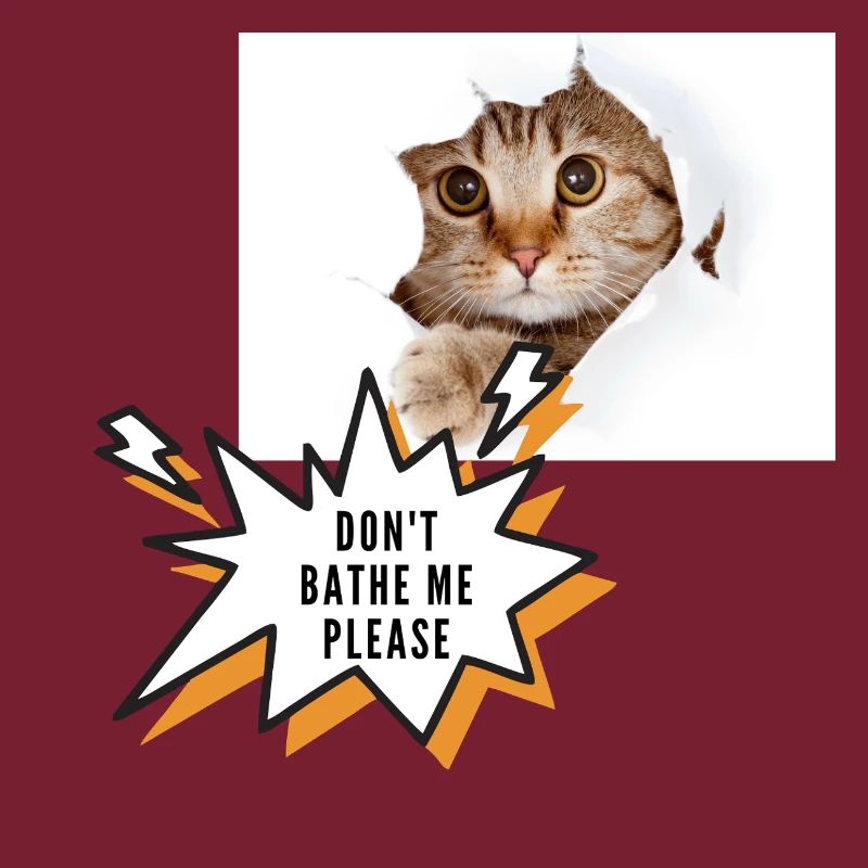 Ne me baigne pas chat