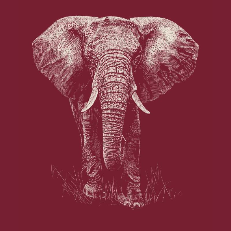 Elefant
