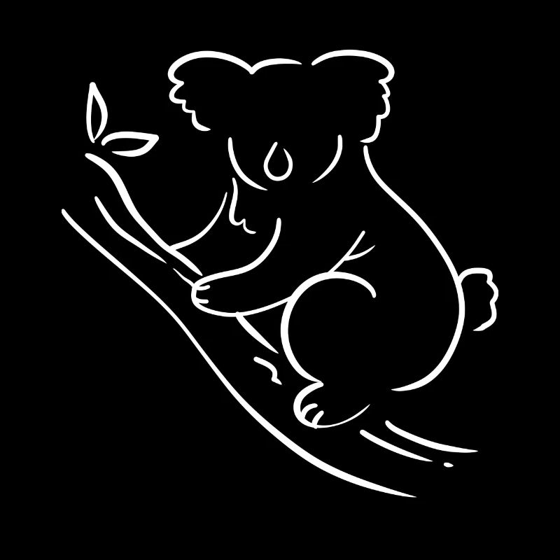 Koala Australien Australier