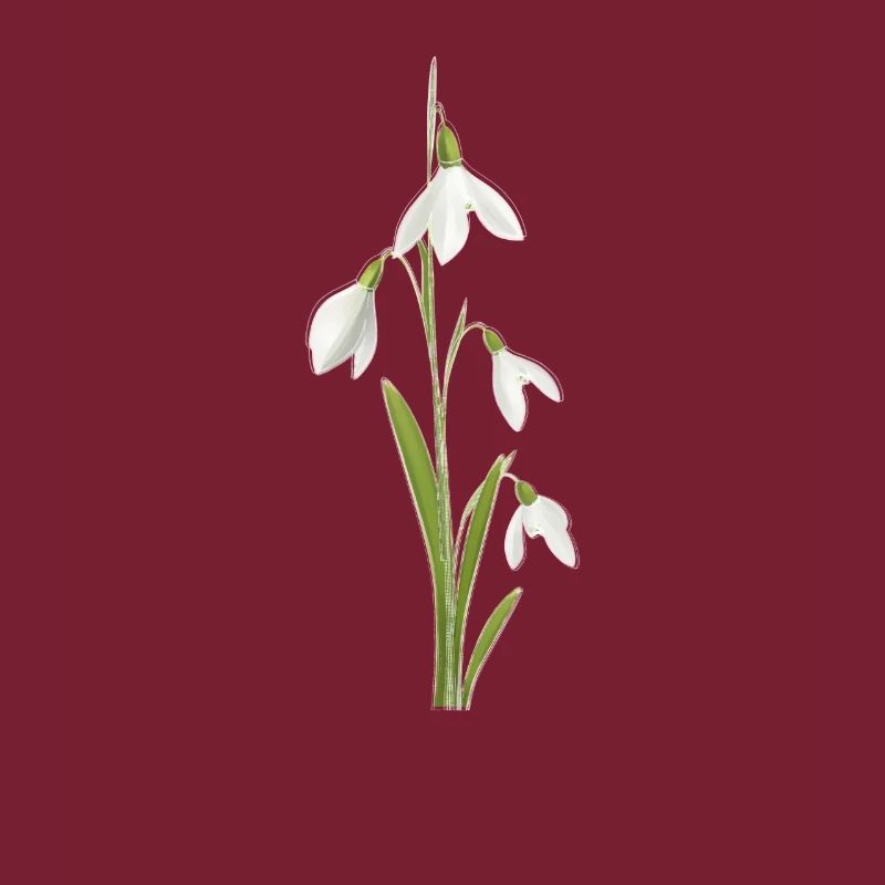 Perce-neige
