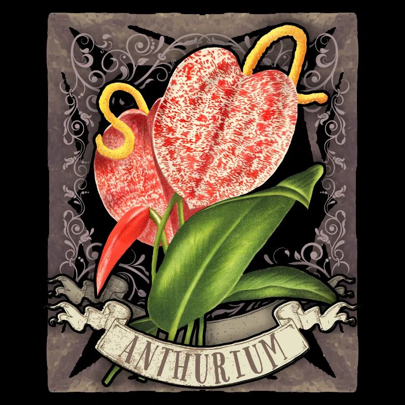 Anthurium vintage, illustration de fleurs botaniques
