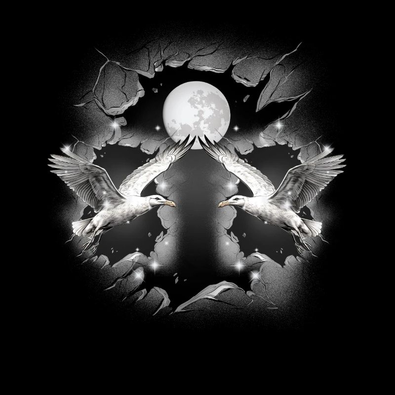 mystisch maritim Möwen Möwe Vollmond Mond