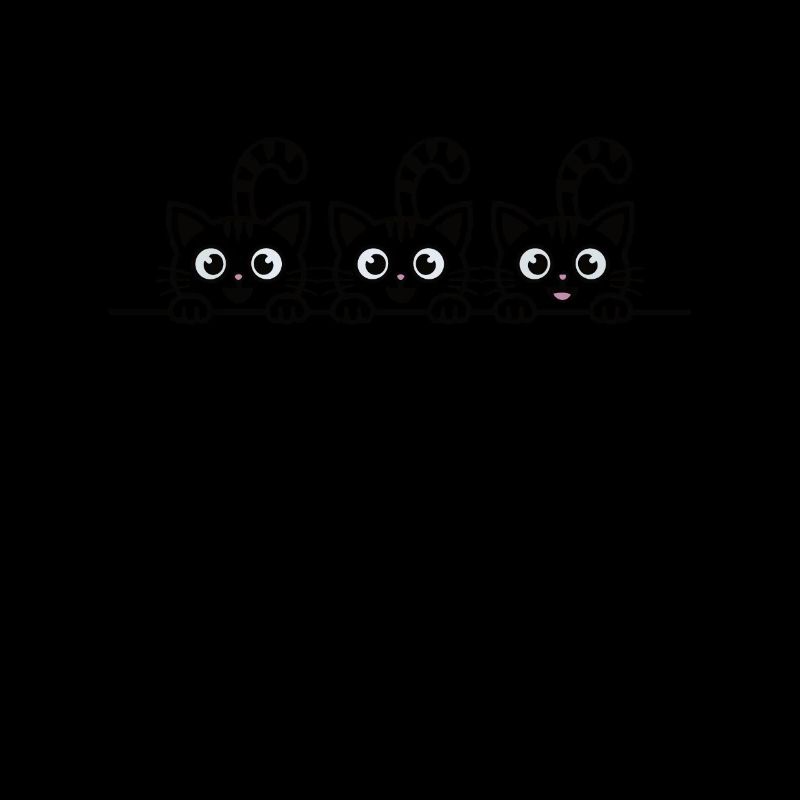 Chats curieux
