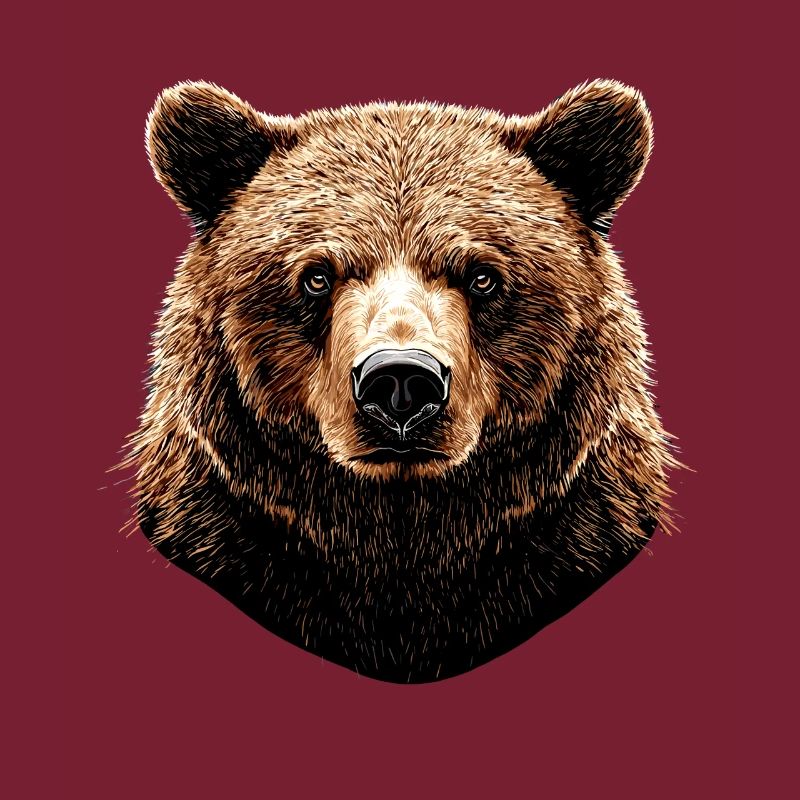 Brown Bear, Grizzly Bear, Bear Brothers, Forest, Wild Bears
