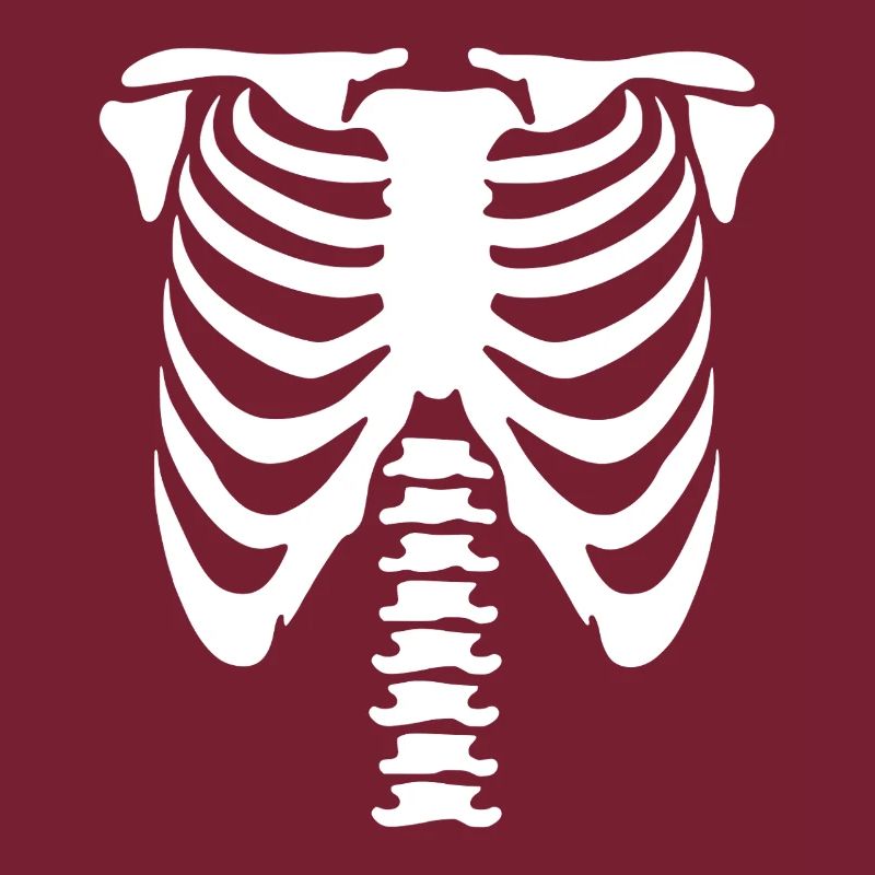 Skeleton Torso