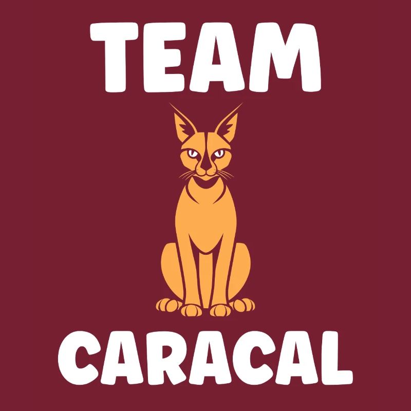 Équipe Caracal