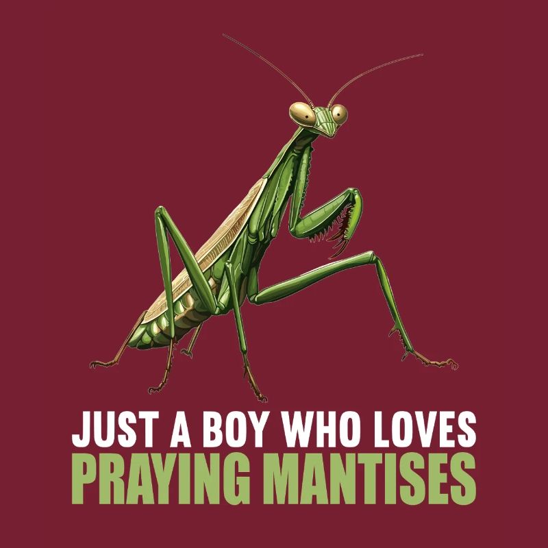 Praying mantises Praying mantis