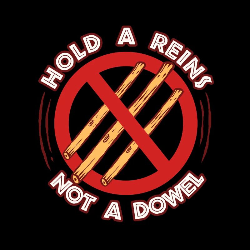 Anti Hobby Horsing Hold A Reins Not A Dowel