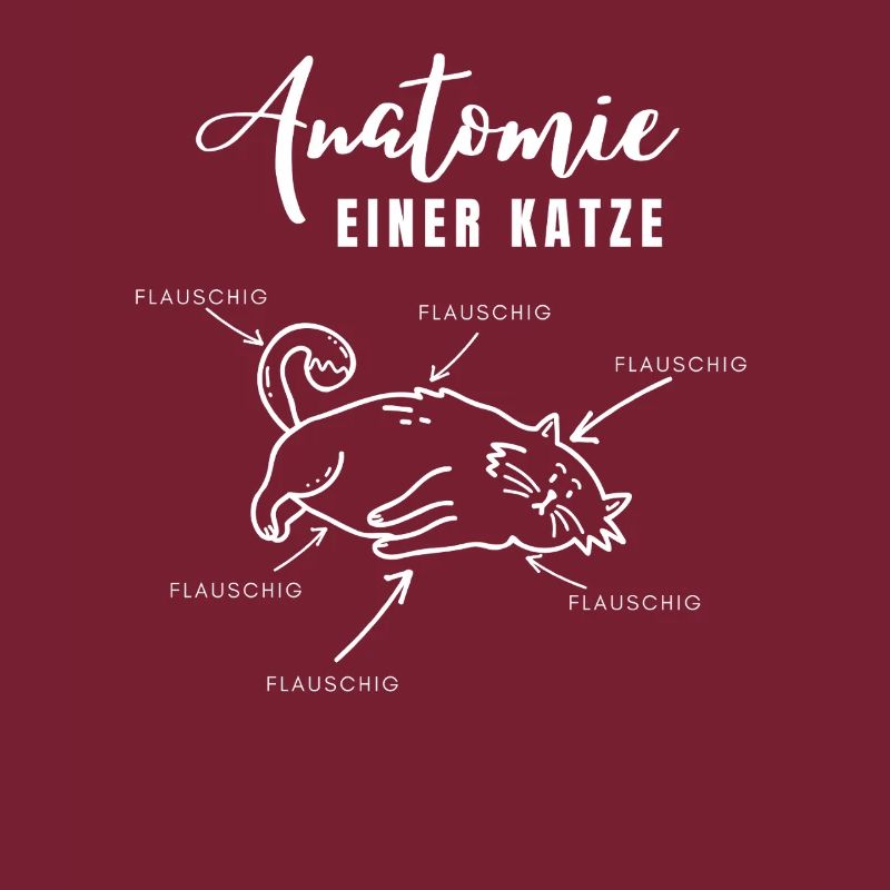 Anatomie einer Katze – alles flauschig