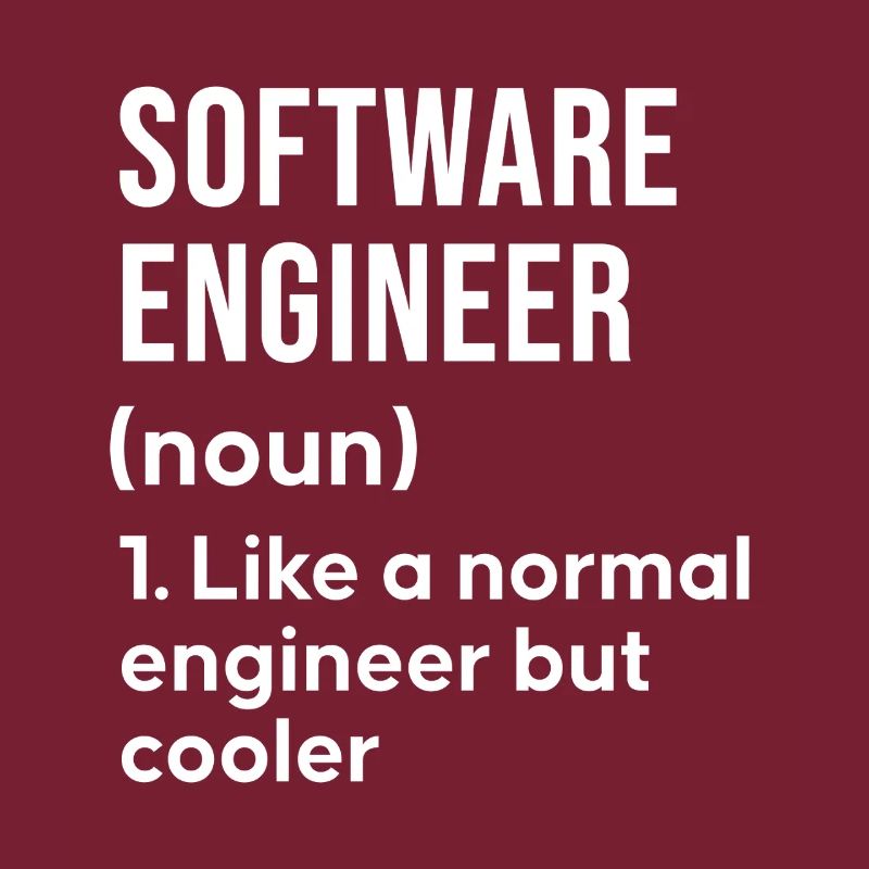 Software Engineer Spruch Shirt