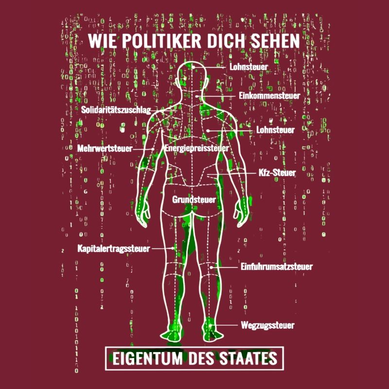 Systemfehler Steuerzahler - Matrix Zerlegeplan 