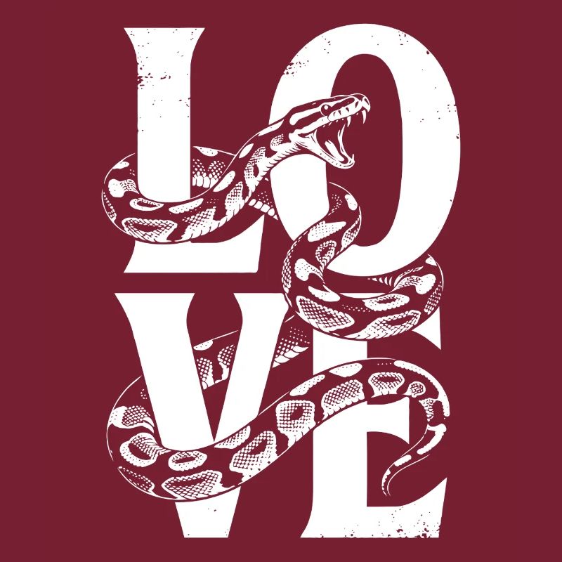 Königspython Schlangen LOVE Terrarium Python