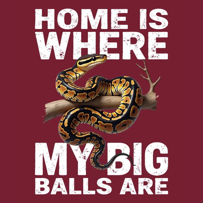 Python roi Serpents Amateurs de terrarium Python