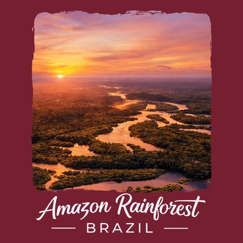 Rainforest Sunset Brazil