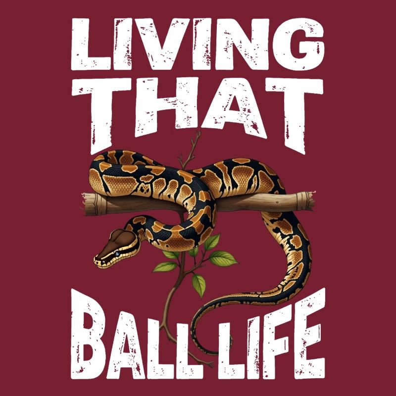 Königspython Schlangen Liebhaber Terrarium Python