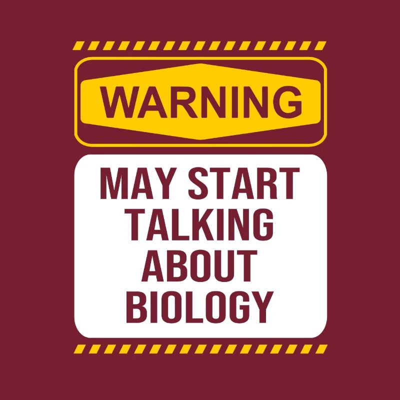 Strukturformel Molekül