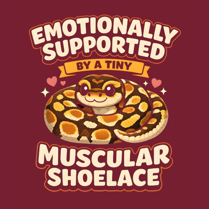 Lacets musclés | Humour du Python Roi