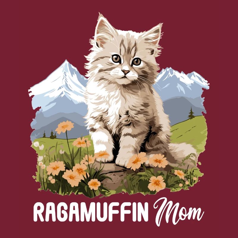 Ragamuffin Kätzchen Ragamuffin Katze