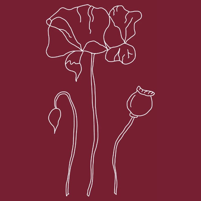 Mohnblume