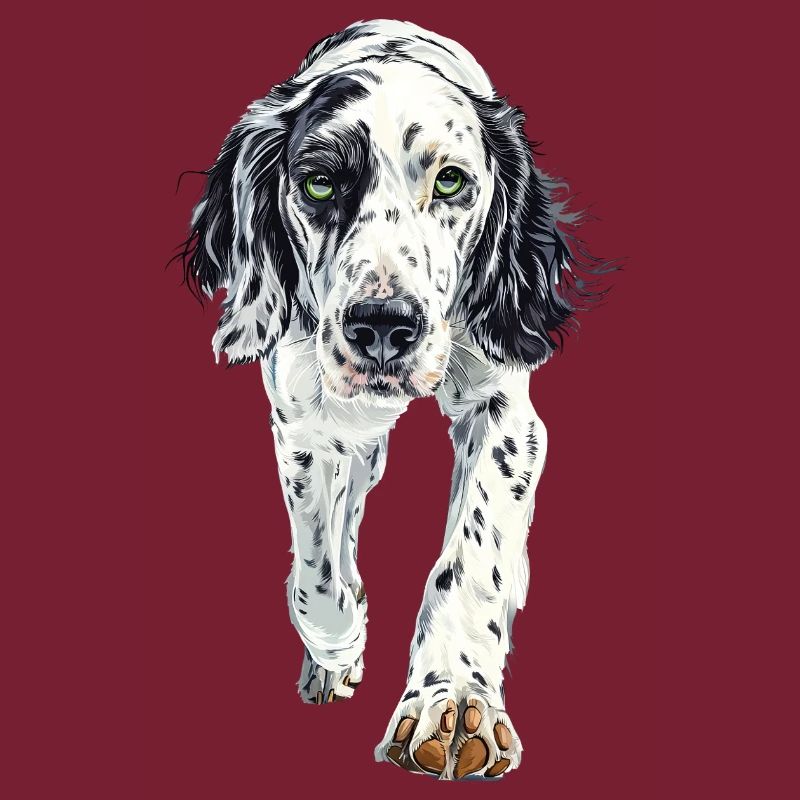 Englischer Setter