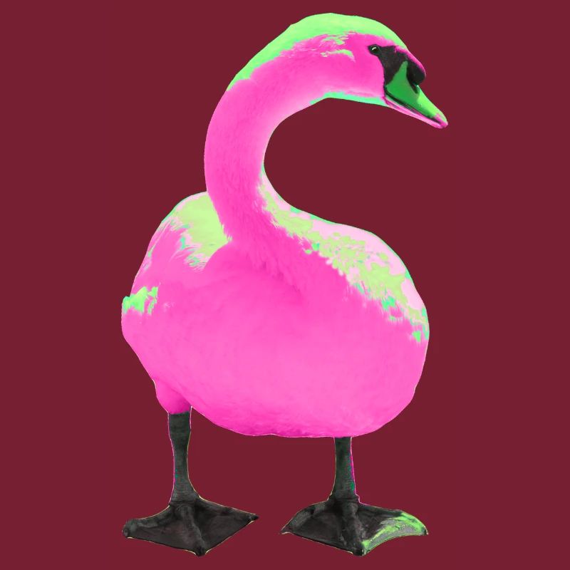 Schwan