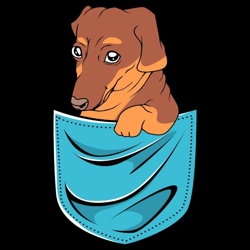 Dachshund