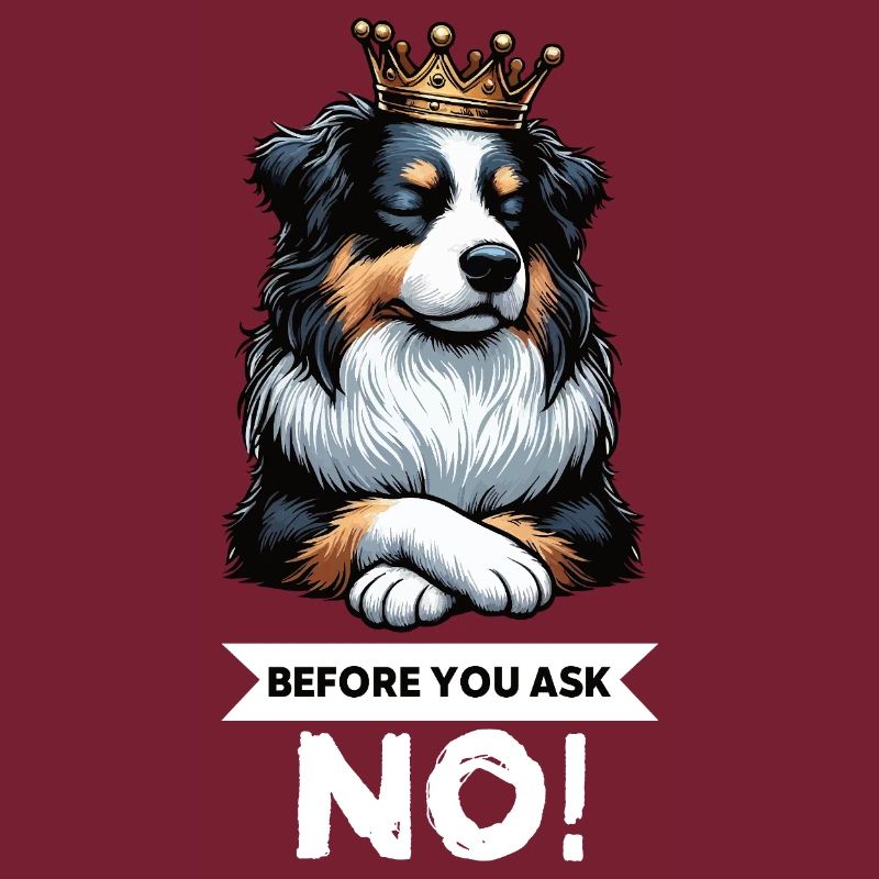 Avant de demander aux Australian Shepherds Aussie Aussies