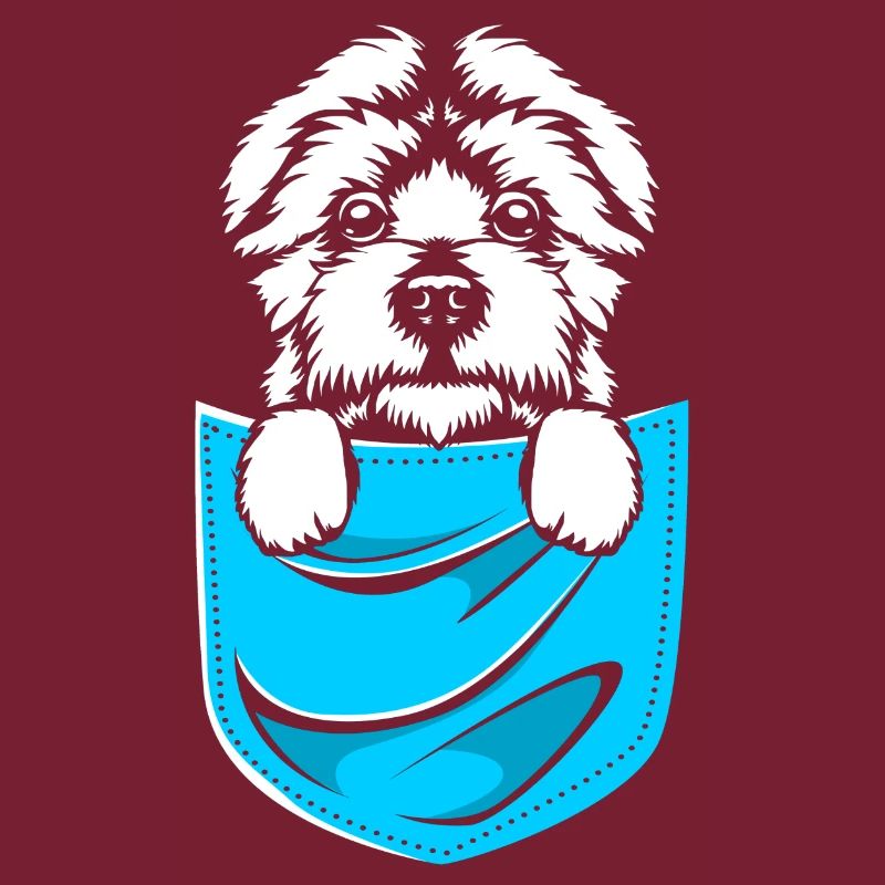 Maltese