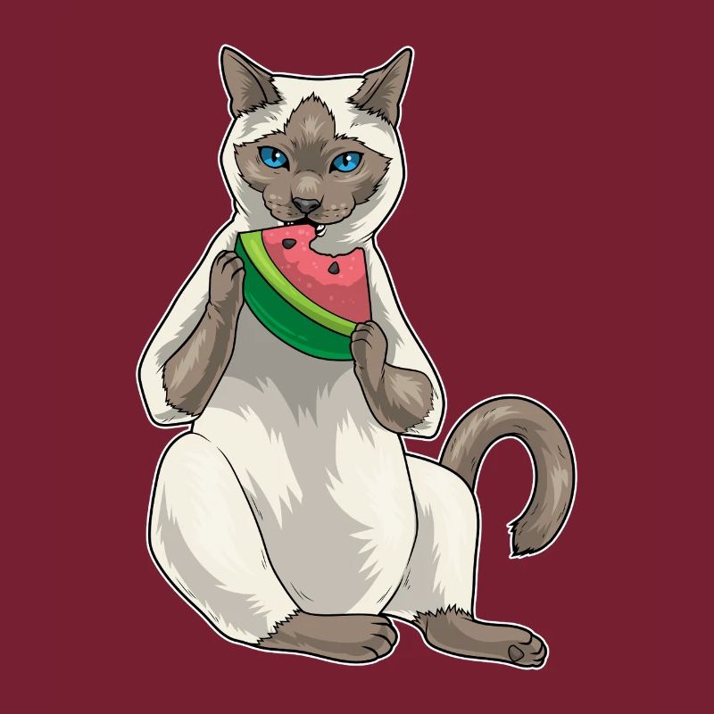 Chat siamois Pastèque
