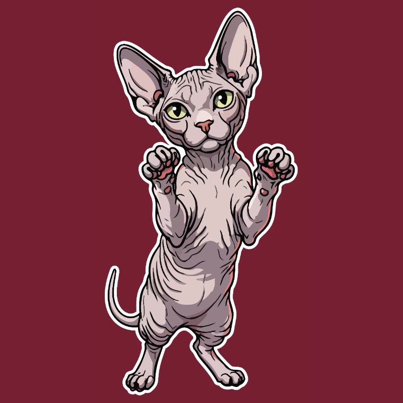 Chat Sphynx Mignon Posture Debout Portrait