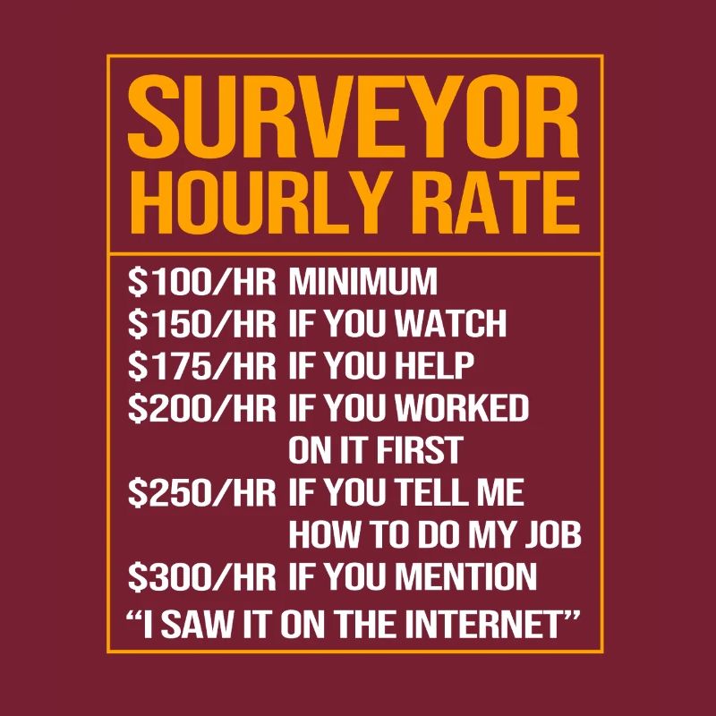 Surveyor