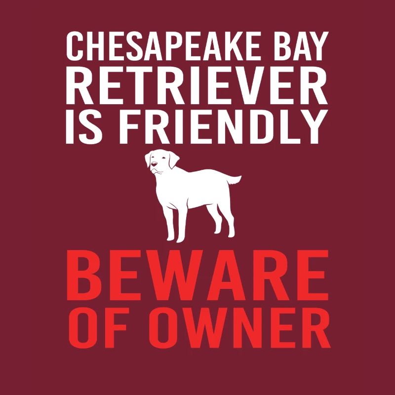 Retriever de la baie de Chesapeake