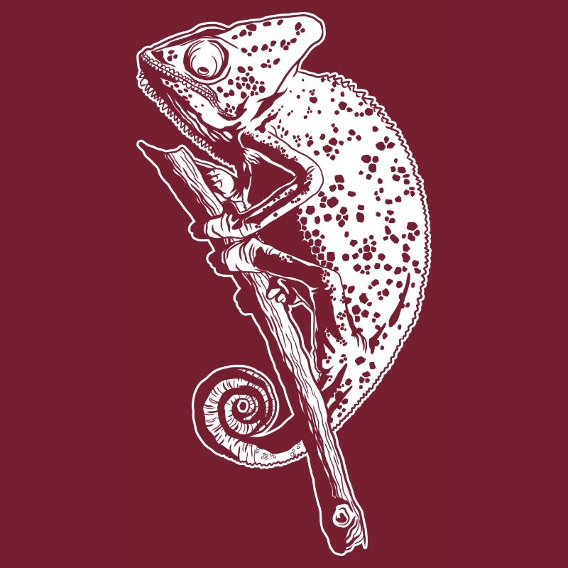 Chameleon Lizard Graphic Reptile Chameleon Lover