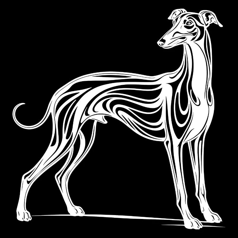 Windhund Greyhound