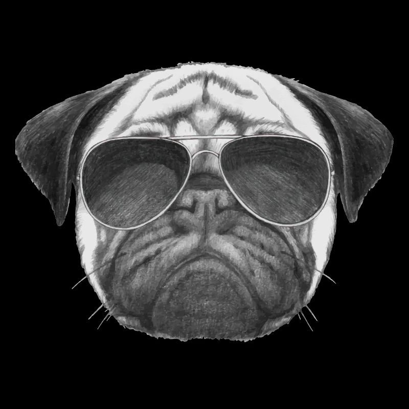 mops pug
