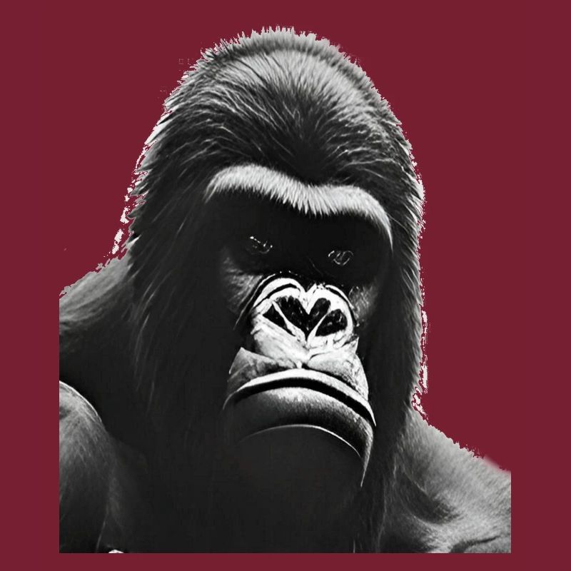 Silverback Gorilla
