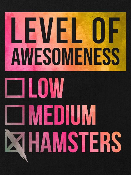 Hamster Hamster Hamster