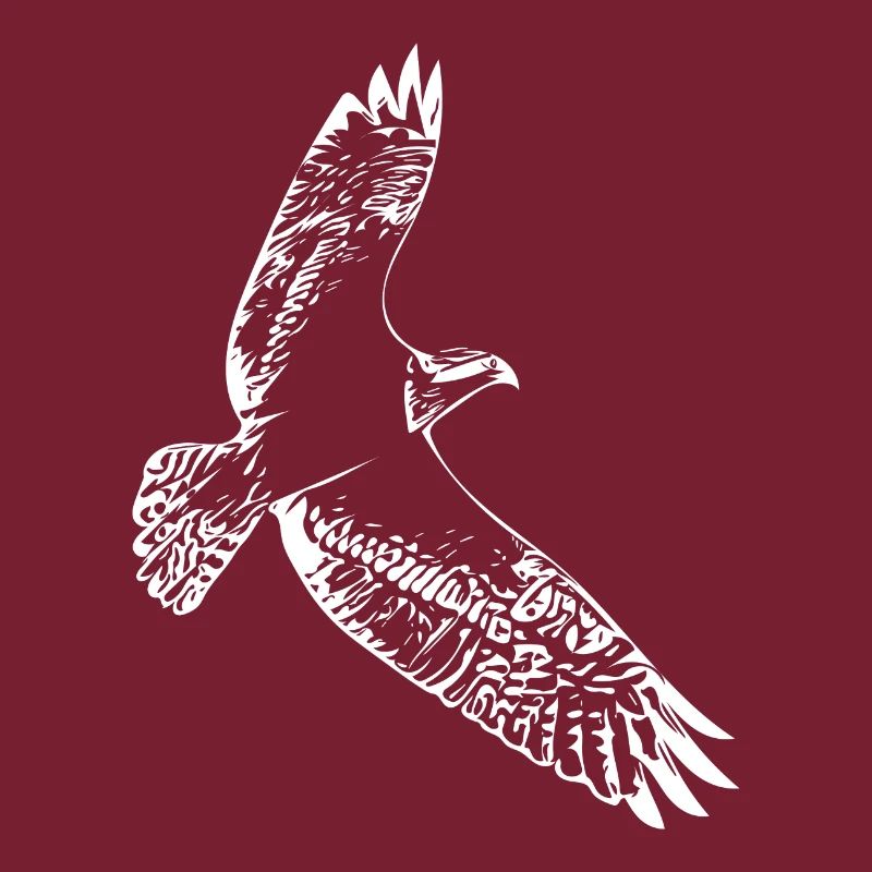 Hawk in flight