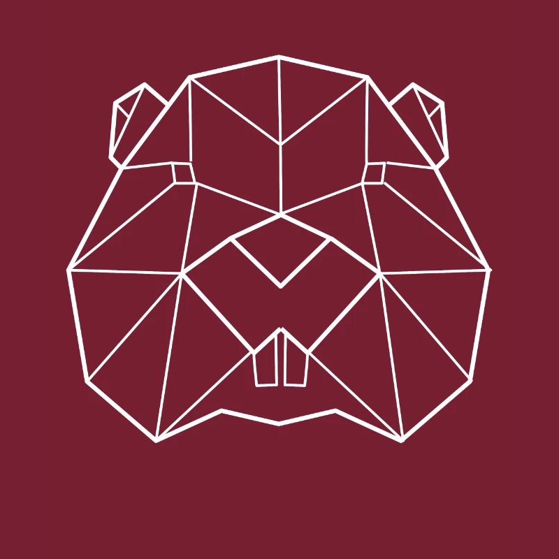 Biber Polygon